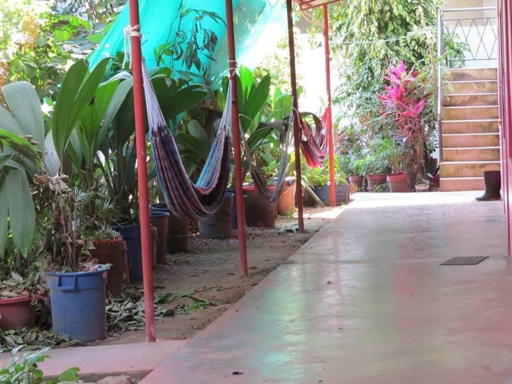 Tambopata Hostel Bambu Puerto Maldonado Bagian luar foto