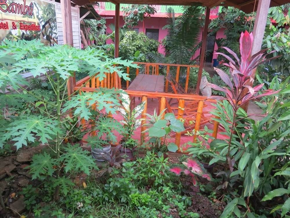 Tambopata Hostel Bambu Puerto Maldonado Bagian luar foto
