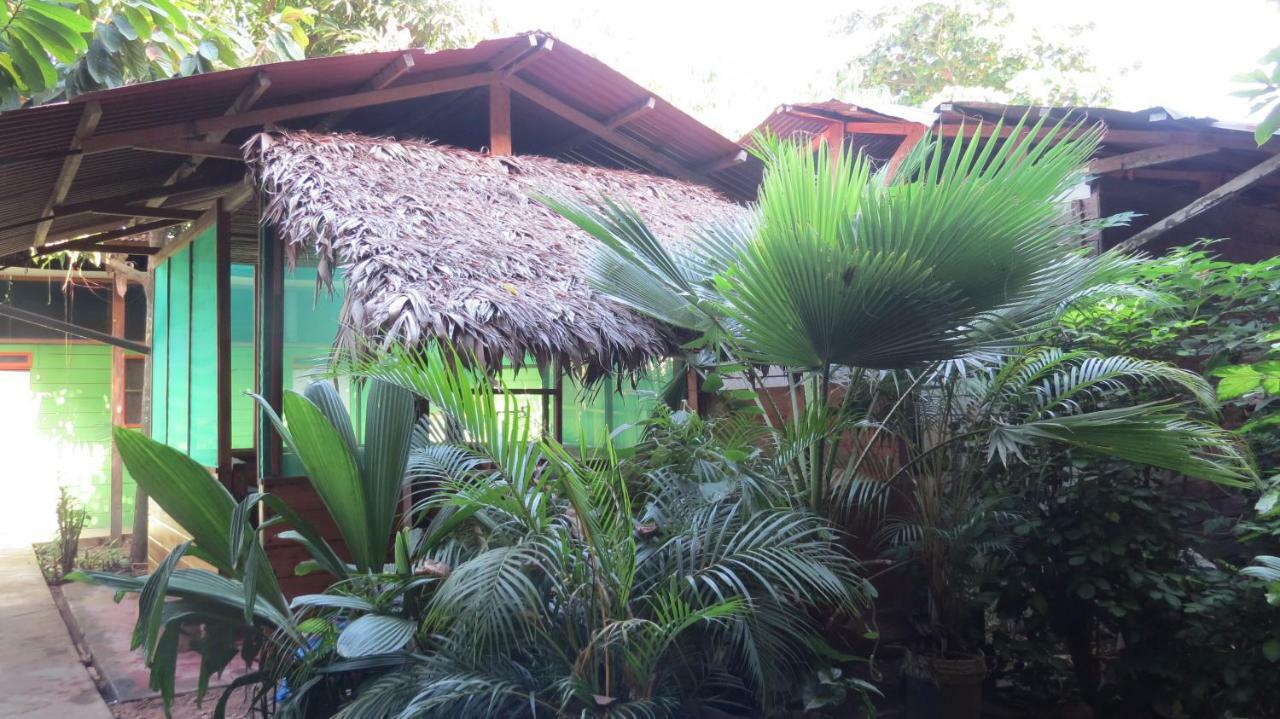 Tambopata Hostel Bambu Puerto Maldonado Bagian luar foto