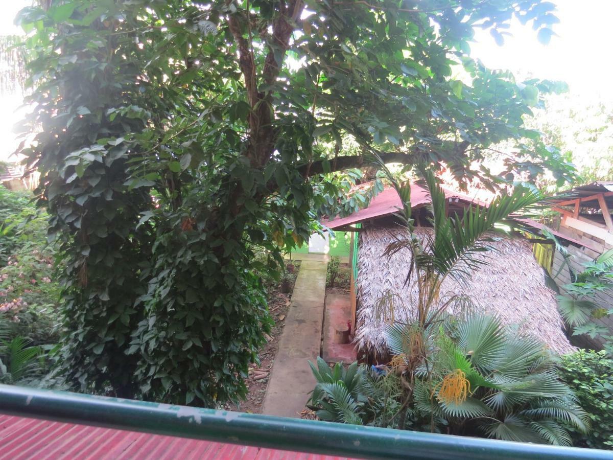 Tambopata Hostel Bambu Puerto Maldonado Bagian luar foto