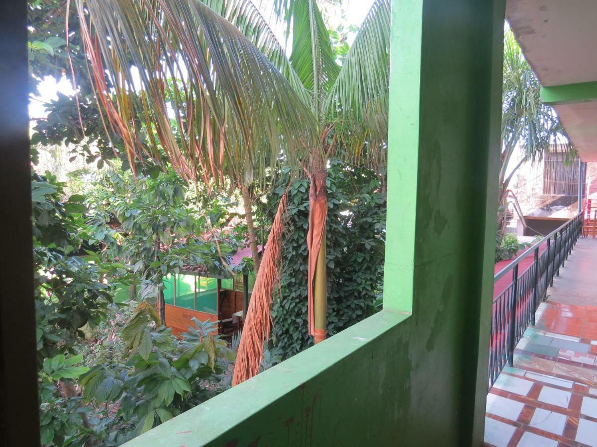 Tambopata Hostel Bambu Puerto Maldonado Bagian luar foto